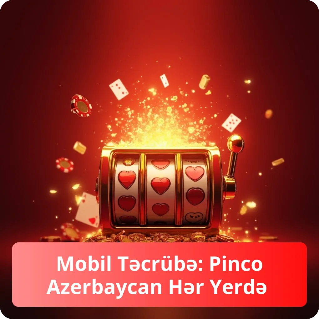 Mobil Təcrübə: Pinco Azerbaycan Hər Yerdə – APK və mobil platformalar Mobil Təcrübə: Pinco Azerbaycan Hər Yerdə